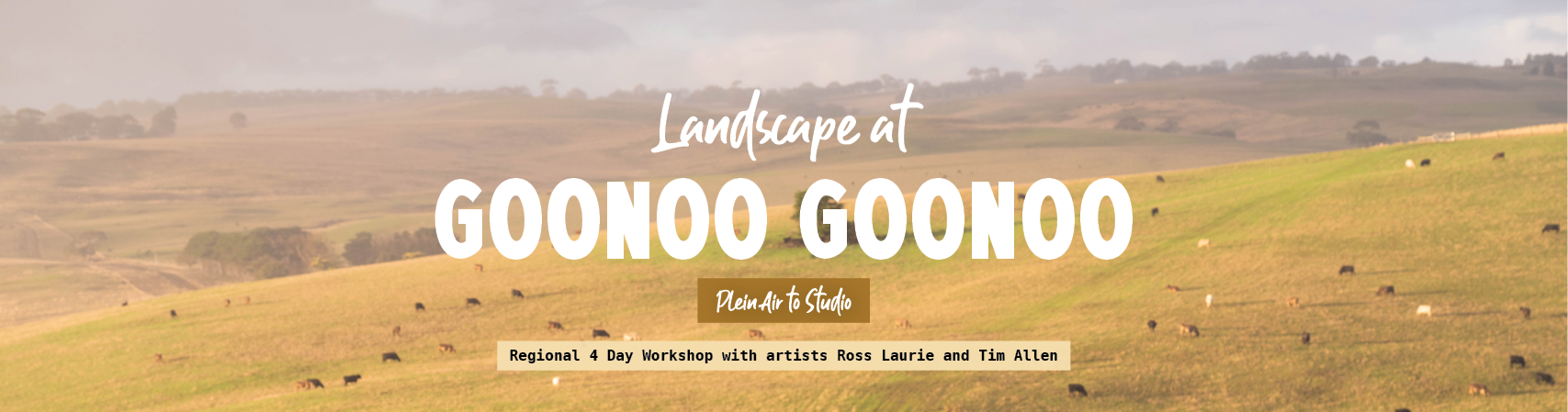 Goonoo Goonoo Plein Air Regional Workshop