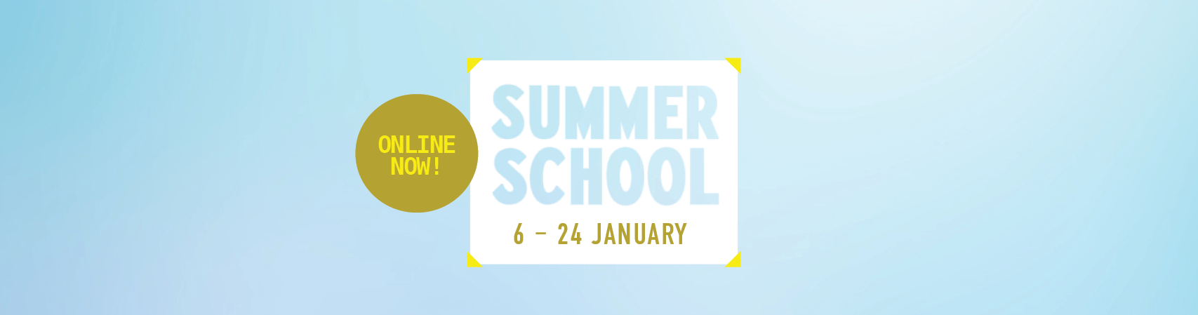 Summer school workshops now online